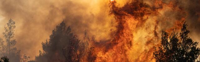 VIDEO | Rhodose põlengule annavad hoogu tugevad tuuled, mis järsult suunda muudavad