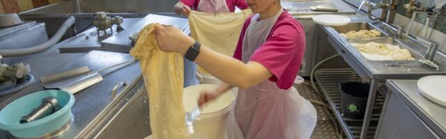 Talunik mures: „Peame maksma ukrainlastele sama töö eest rohkem, see ei ole aus eestlastest töötajate suhtes“