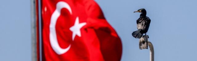 Türgis vahistati valitsust kritiseerinud Deutsche Welle ajakirjanik