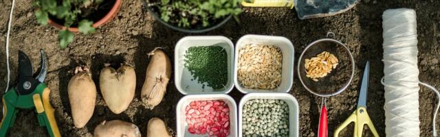 Mai aiatööd: lihtne plaan kindla saagi nimel