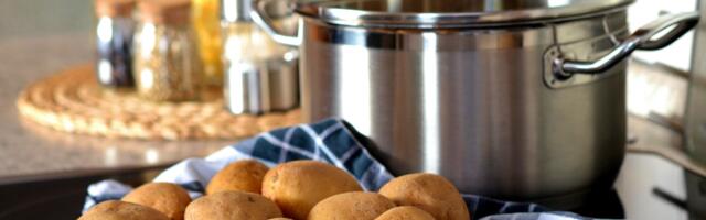 Alanud on Mulgi pudru teemaline laste omaloominguvõistlus