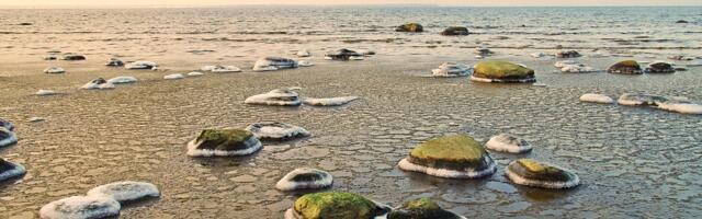 Jaanus Volmre NÄDALA FOTO