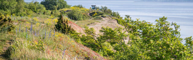 Noorematele põlvkondadele: ärge kuulake kliimahuntide ulgu