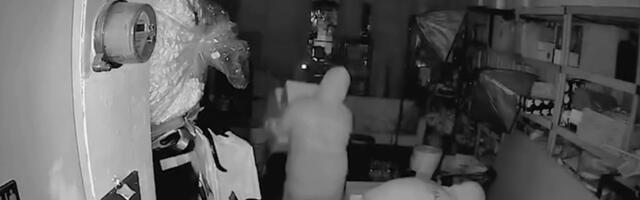 VIDEO: USA-s varastati poest tuhandete dollarite väärtuses Labubu nukke