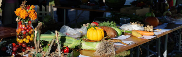 Rõuge kolmas kogukonnafestival toob lavale moodsa maaelu parimad palad