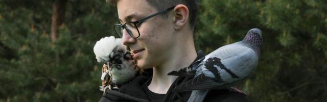 Tegevuse lõpetanud noore hobitaluniku näpud hakkasid uuesti sügelema. Nüüd on tal 250 hoolealust