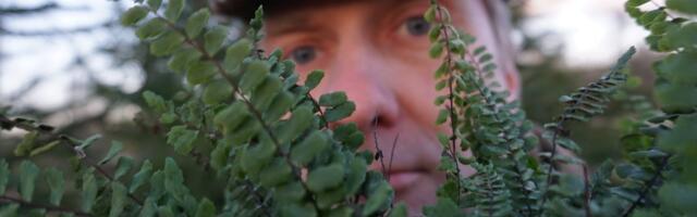 Looduskaitses registreerime vaid kaotusi. Kellele jäävad võidud?