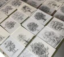 Anti Saare jõudeaja võrsed