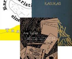 „Tahtsin teha midagi, mis inimestele rõõmu valmistab“