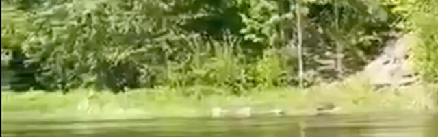 VIDEO: mees ujus üle Narva jõe Eestist Venemaale ja keegi ei sekkunud