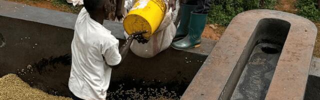 Я купил мешок зерна, полтора года жарил на чужом производстве и вышел на 14 млн в месяц