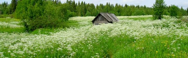Hiina horoskoop reedeks, 3. juuliks: päev toob mõnele loomamärgile selgust ja teistele uue võimaluse
