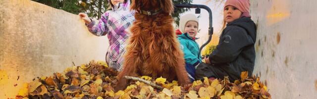 Mart Kase: toidust & inimestest