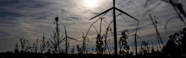Enefiti aktsia kukkus ja tõi börsi endaga kaasa