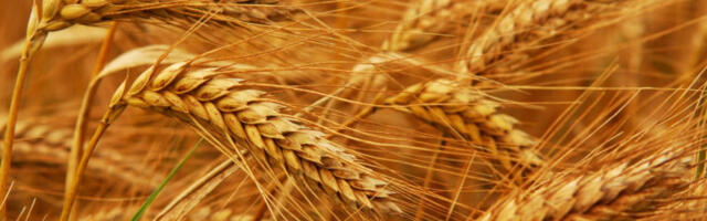 Eesti põllumehed saavad erakorralist kriisiabi