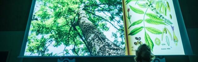 Noorteadlased: iga teadlane ei pea avalikkuses seisukohta võtma, aga alati võib tulla nõu küsima