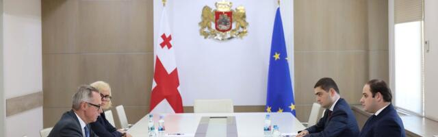 Saksamaa kutsus suursaadiku Gruusiast tagasi, põhjendades seda võimudepoolse vaenuõhutamisega