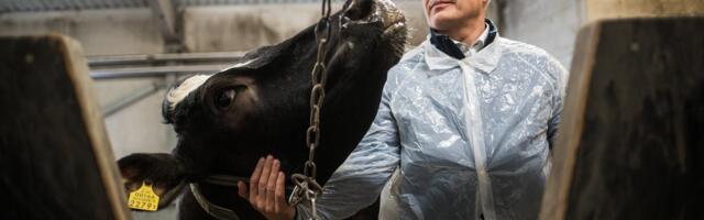 Maaülikooli instituudi direktor Toomas Tiirats politsei kahtlustusest_ mina endal süüd ei näe