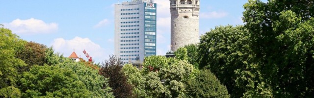 Uuring: linnas kasvavatel puudel on ootamatu mõju depressioonile