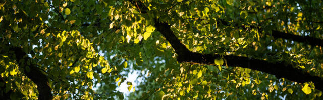 Esmaspäeval tuleb kuni 28 kraadi sooja