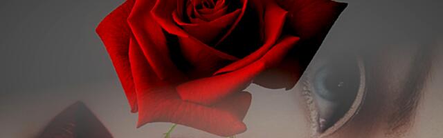 NAISTEPÄEVAGALERII: rännak ajas ja ruumis