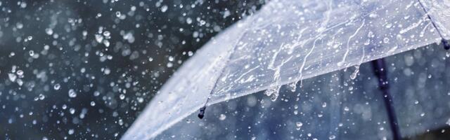 ILMAPROGNOOS | Tihe vihmasadu vallutab Eesti