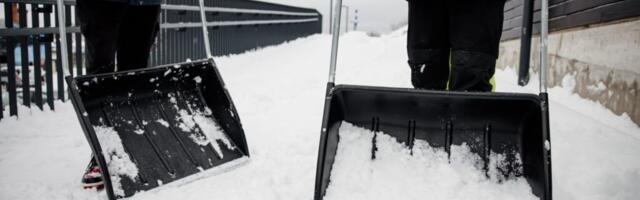 PEALINNA LABIDASANGARID. Töö kestab kaksteist tundi, õhtusöögiks ainult pitsa