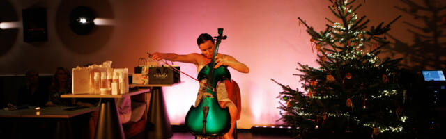 SUUR GALERII! Buduaari jõulupidu