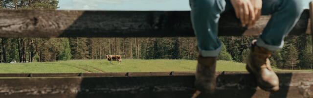 Viisteist noort saavad ainulaadse võimaluse tuleviku ehitamiseks põllumajanduses