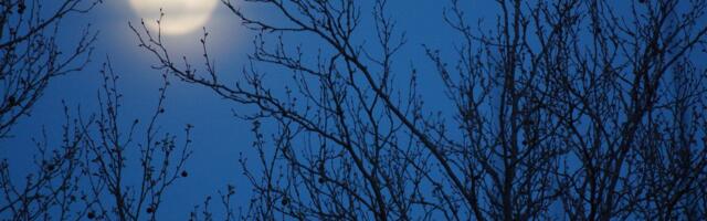 ASTRONOOMIANURK ⟩ Alar Puss: aprillitaevas 2025