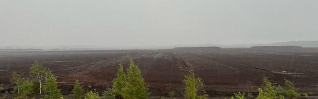 Turbatootjad: keeruline suvi seab Eesti ja Euroopa toidujulgeoleku löögi alla