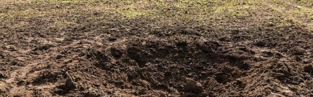 Hannes Nagel_ Eestis puudub elanikkonnakaitse kultuur, kui omavalitsus sai drooni kukkumisest tagantjärele teada meedia vahendusel!