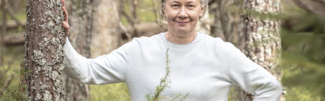 HETKES KOHAL | Elo Saue: metsast saab alati välja