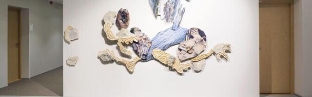 Здание Института эстонского языка украсила инсталляция за 20 000 евро