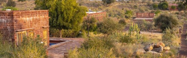 REIS INDIASSE | Tahri kõrb tantsib Bollywoodi rütmis kaamelil seljas