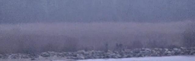 Kolm vormis inimest ületasid kolmapäeval Vasknarvas Eesti-Vene kontrolljoone