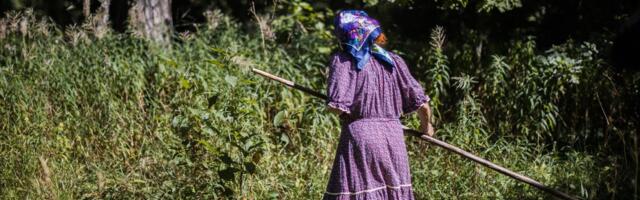 Pensionär Maie: miks minult 1000 eurot lihtsalt ära võetakse?