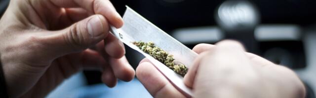 TAI: Tallinna ja Tartu reovesi näitas kanepi ja kokaiini tarvitamise kasvu