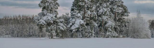 PÄEVAHOROSKOOP: kolmapäev, 29. jaanuar