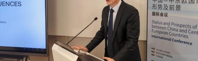 Kineski sistem: pouke i upozorenja