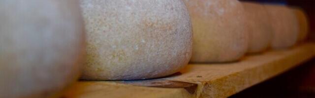 Rootsi uuring seostas juustulembuse madalama dementsuse riskiga