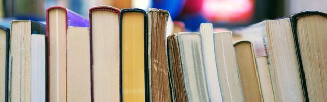 Anna ärile uus hoog: 7 raamatut, mis teevad sinust parema juhi