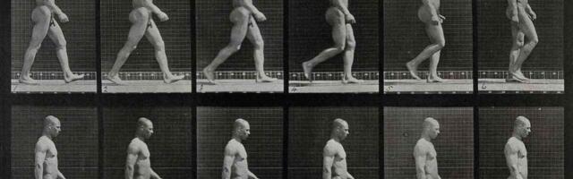 Jalakäija – tülikas liikleja või tähenduslik uitaja