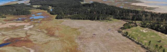 Keskkonnaamet otsib hankega pärandniitude taastajaid