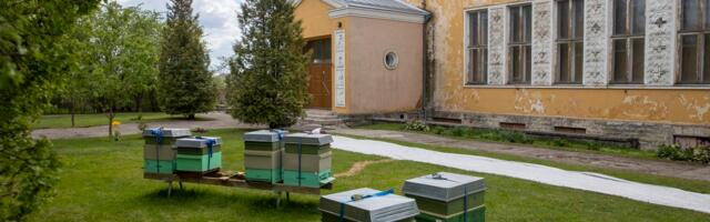 Vaidlus Põhja-Tallinnas: kes lubas MTÜ lagunevasse majja?