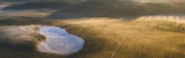 Pruunkaru ja rabahommik tõid võidu Wiki Loves Earth fotovõistlusel