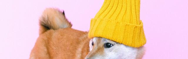 KÕVA SÕNA: Reformierakond Viimsis – kas nutta või naerda?!