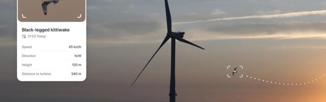 Spoor raises €8m to help wind farms avoid wildlife-related shutdowns