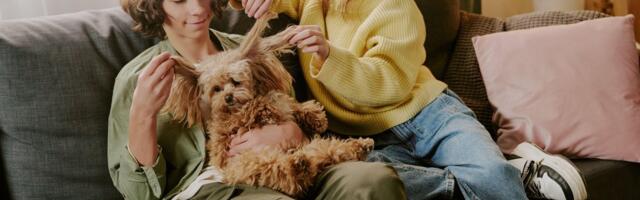 Noored kasutavad tehisaru üha rohkem, kuid usaldavad seda aina vähem