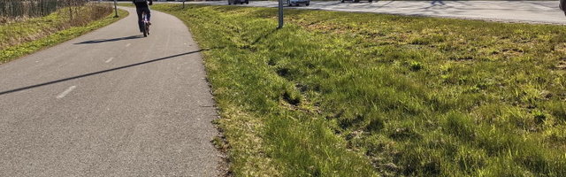 FORTE ÜLESKUTSE | Istutame Eesti hekke täis